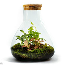 Load image into Gallery viewer, Growing Concepts - Erlenmeyer Large Botanisch
