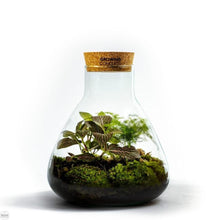Load image into Gallery viewer, Erlenmeyer Medium Botanisch
