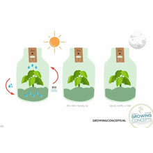 Load image into Gallery viewer, Erlenmeyer Medium Botanisch
